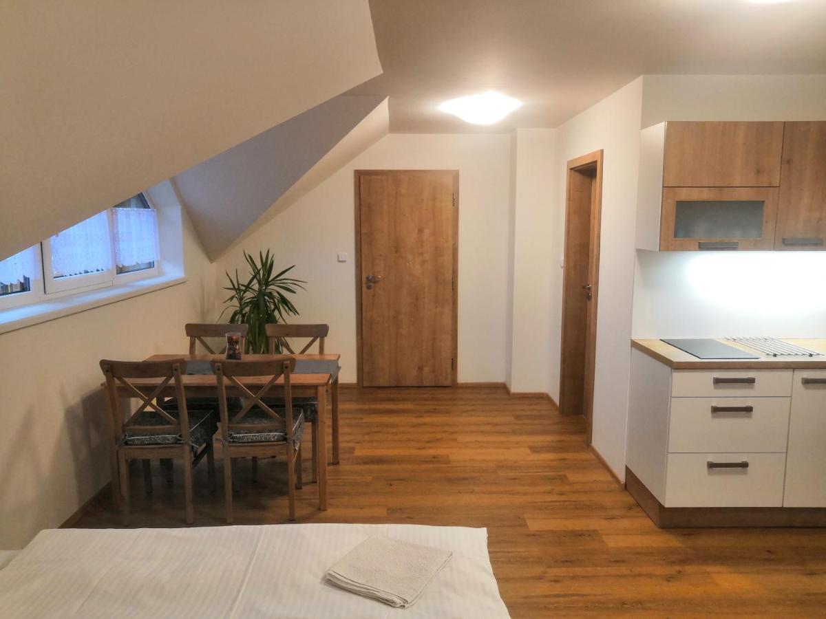 Apartment Horska U Rychlych *