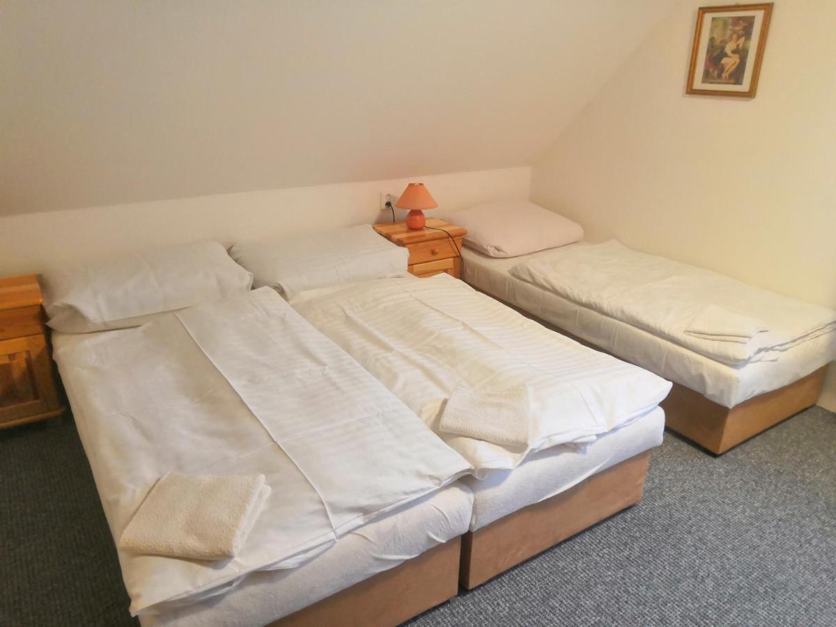 Apartment Horska U Rychlych